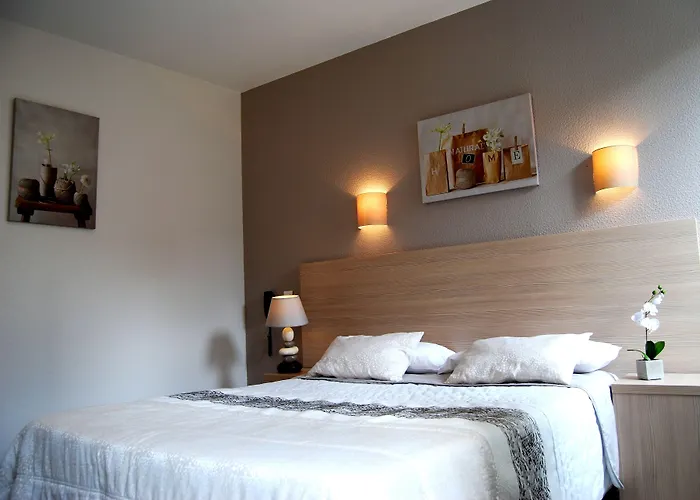Logis Hotel Restaurant Du Midi - Rodez Centre