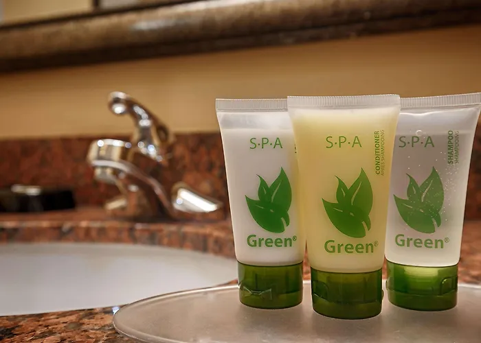 Best Western Plus Manvel Inn & Suites
