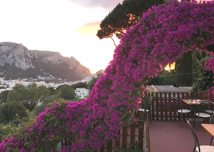 La Reginella Capri