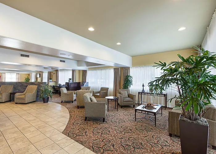 Comfort Suites Medical Center Near Six Flags