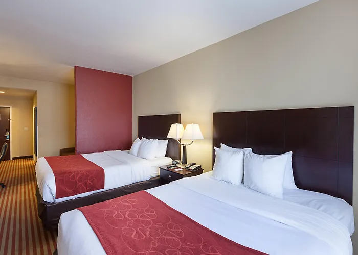 Comfort Suites Medical Center Near Six Flags