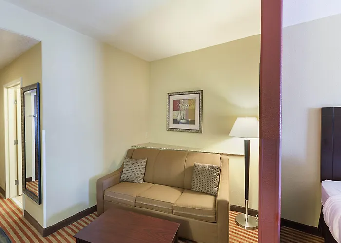 Comfort Suites Medical Center Near Six Flags