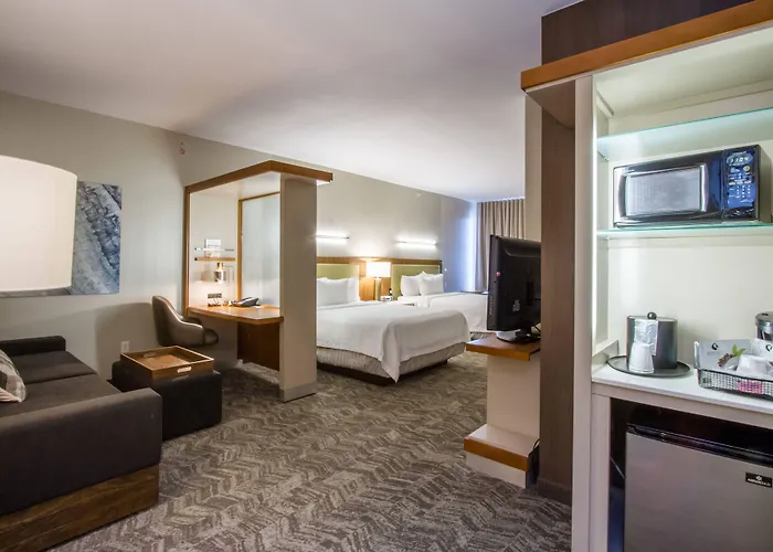 Springhill Suites By Marriott San Angelo