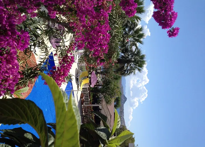 Yilmaz Hotel