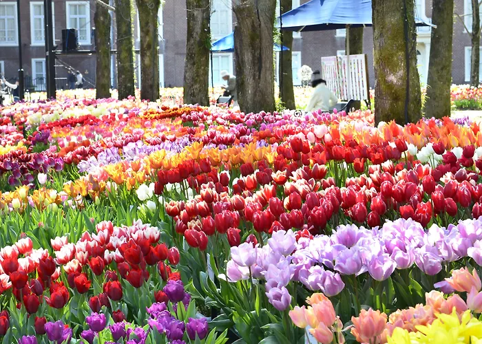 Hotel Den Haag Huis Ten Bosch