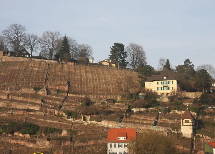 Hotel Am Schelztor