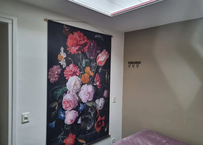 Mooi Zo 2