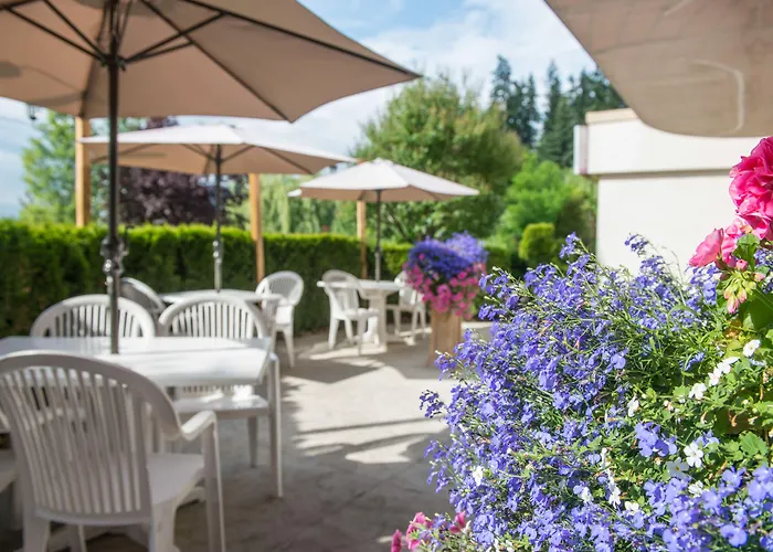 Hilltop Inn - Salmon Arm