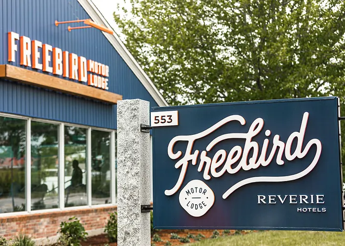 Freebird By Reverie Boutique Collection
