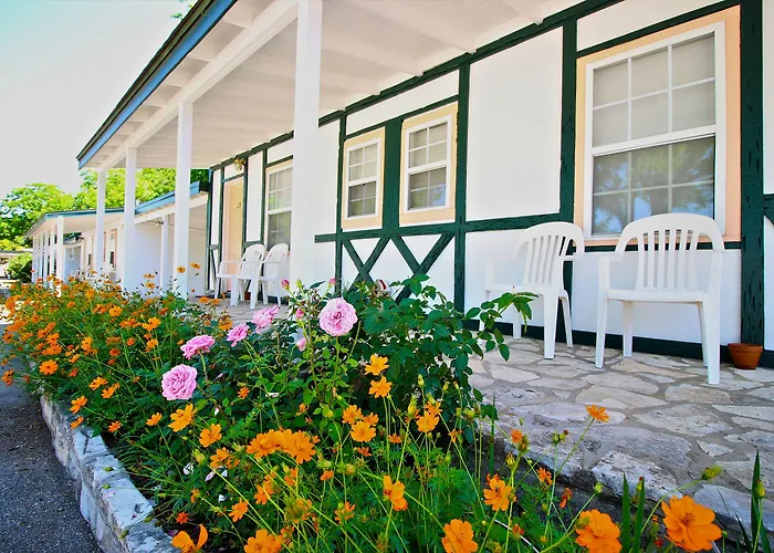 Peach Tree Inn & Suites