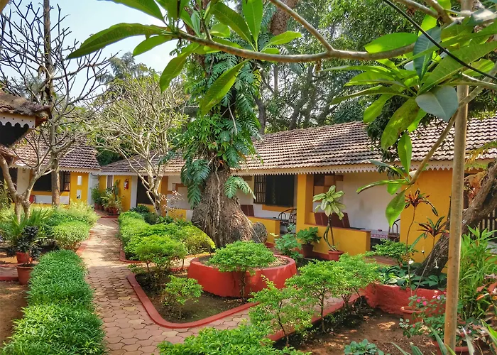 Granpa'S Inn Hotel Bougainvillea