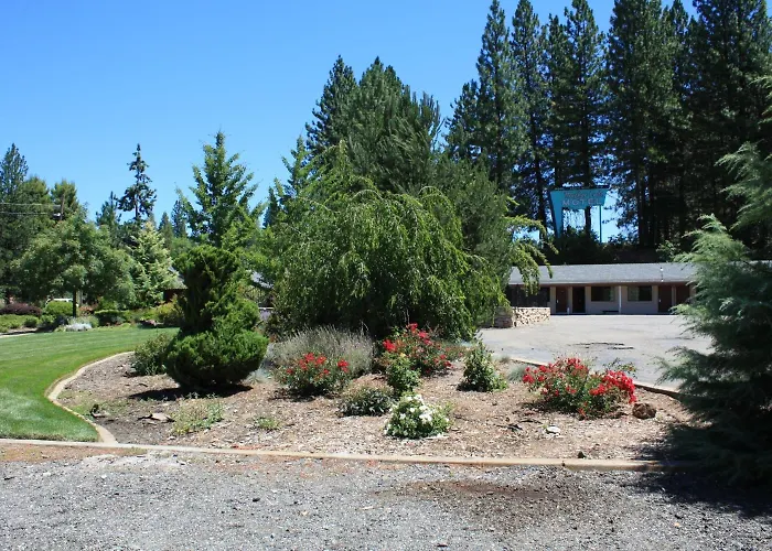 Mother Lode Motel