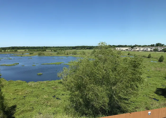 Candlewood Suites Houma By Ihg
