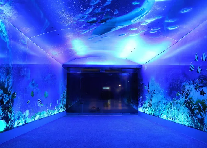 Clownfish Resort
