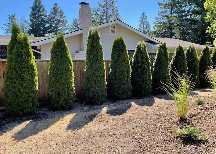Sonoma Getaway With Hot Tub & Backyard Oasis - Dog Ok