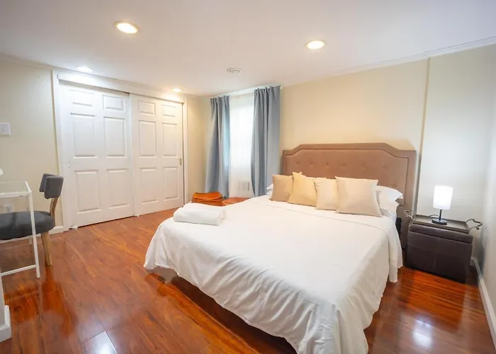 Bright 3Bed Basement With Backyard & Free Parking