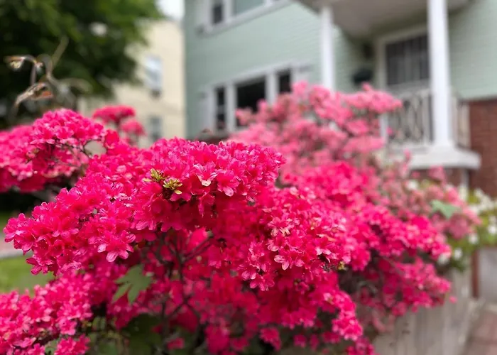 3Bedroom Apt With Balcony & Free Street Parking