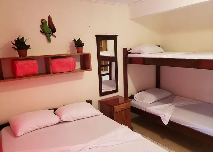 Cabinas Pura Vida B&B And Tour Operator