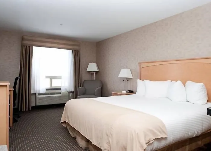 Paradise Inn And Suites