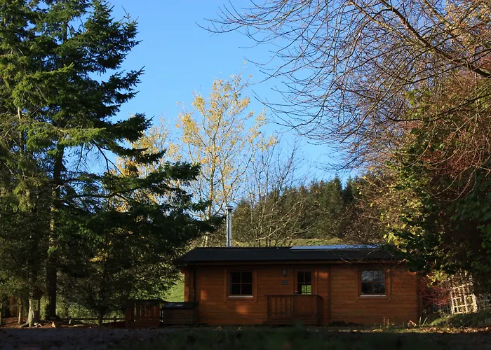 Saplinbrae Hotel And Lodges