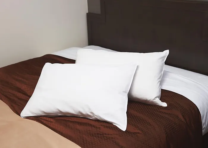 Hotel Sealuck Pal Takasaki