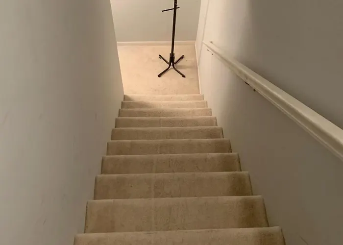 Nice Basement Room In The House