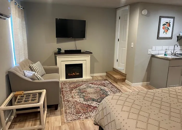 Delightful Studio