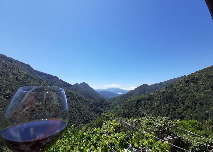 B&B La Locanda Del Cinghiale