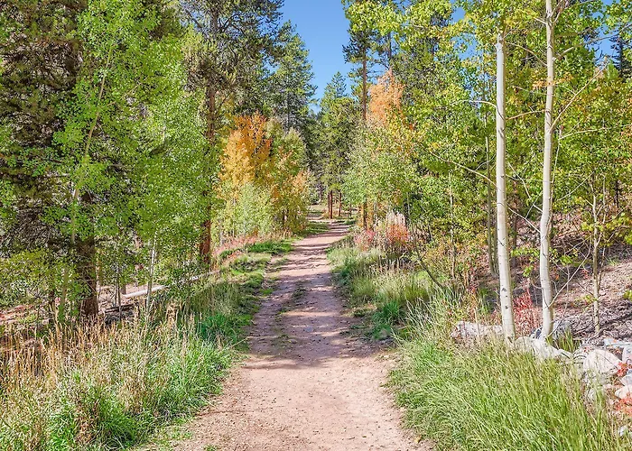 Beaver Run Studio With Kitchen, Dog Friendly- 4217