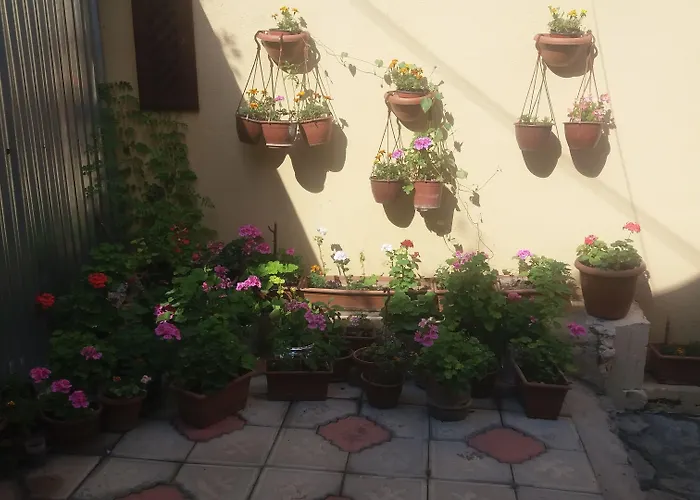 SARI KONAK Garden Otel Safranbolu