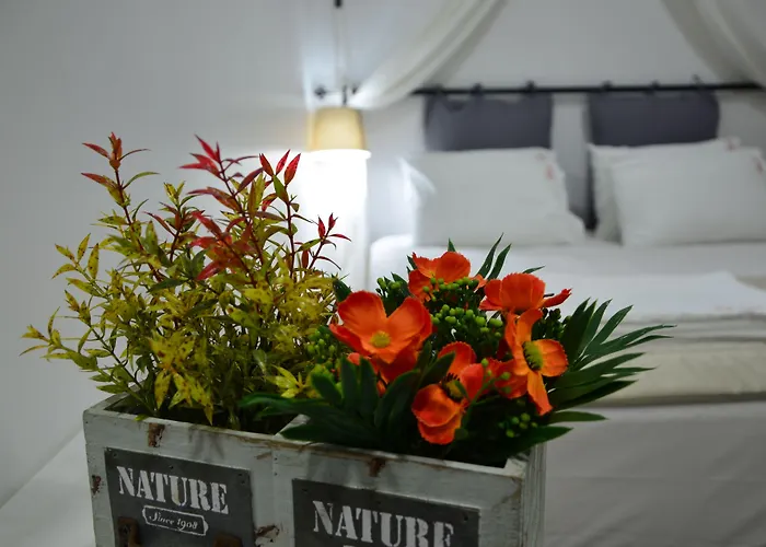Nova Citrus Otel
