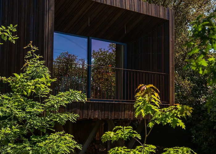 Quinta Do Pedregal Hotel & Spa