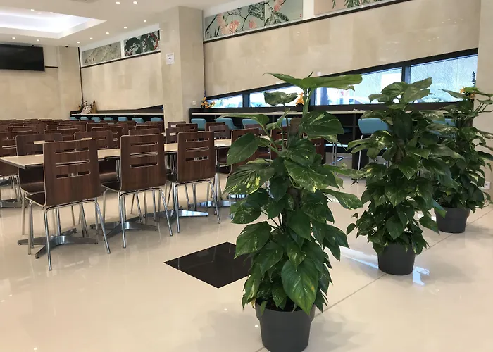Toyoko Inn Marseille Saint Charles