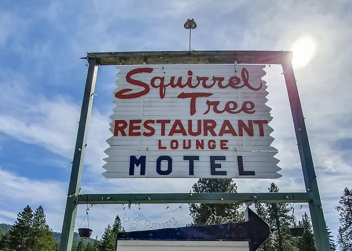Squirrel Tree Resort