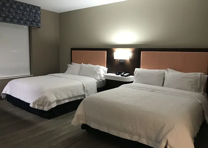 Hampton Inn & Suites By Hilton-Columbia Killian Road
