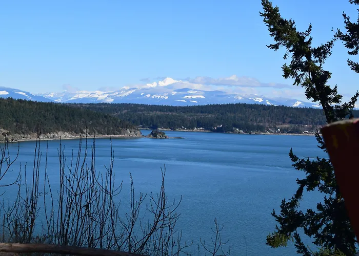 The Bluff On Whidbey