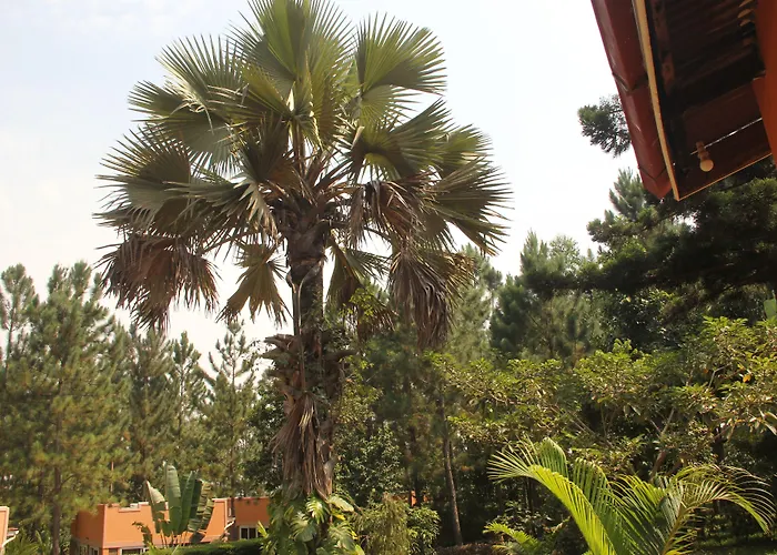 Saltek Forest Cottages