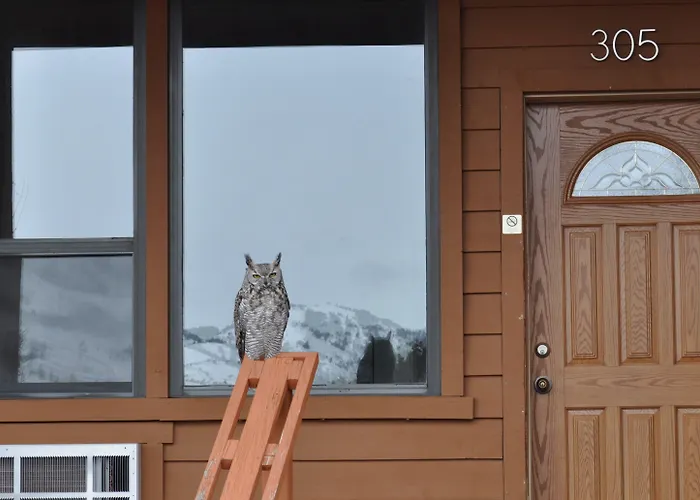 Yellowstone Village Inn And Suites