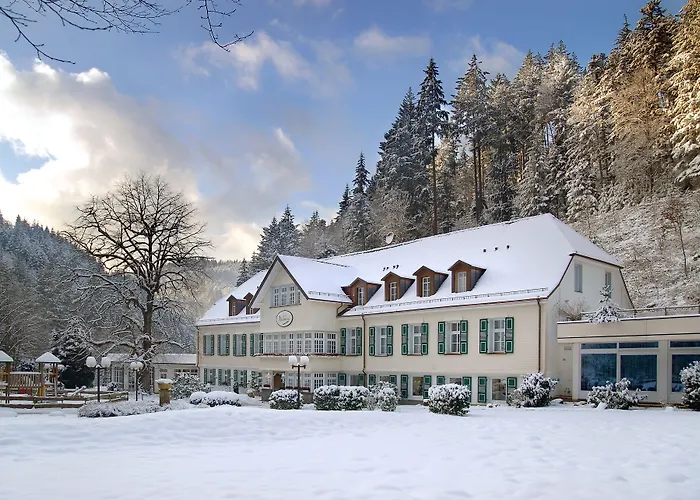 Waldhotel Bad Sulzburg