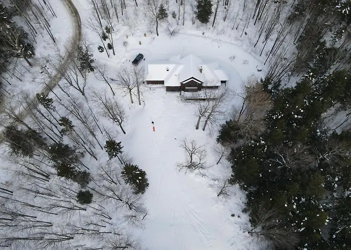Cody'S Clubhouse