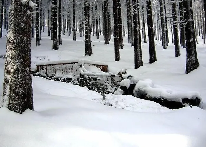 Hotel Zum Schneekopf Garni