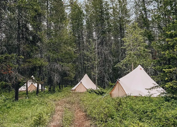 Wander Camp Glacier