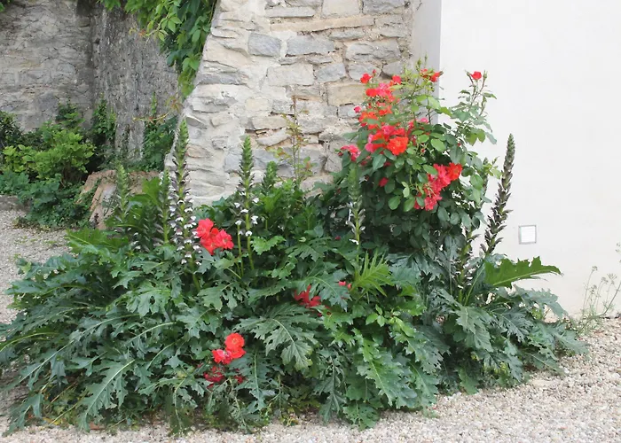 La Rose