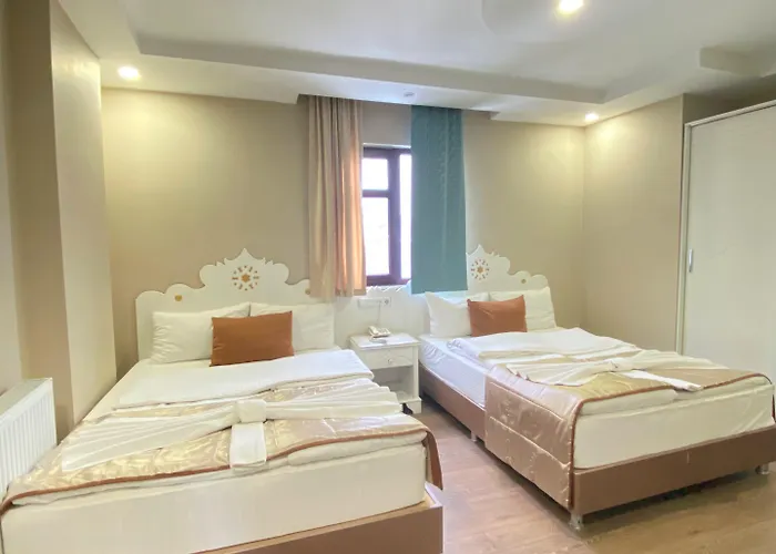 Hotel Kent Ani