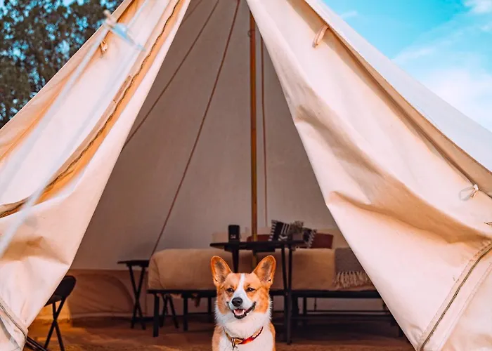Starlight Olympic Glamping