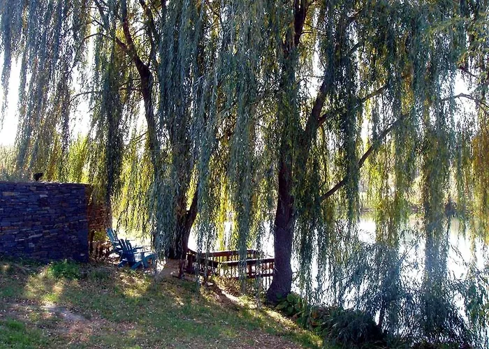 Pet-Friendly Vacation Rental On A Working Farm Near Hudson, New York