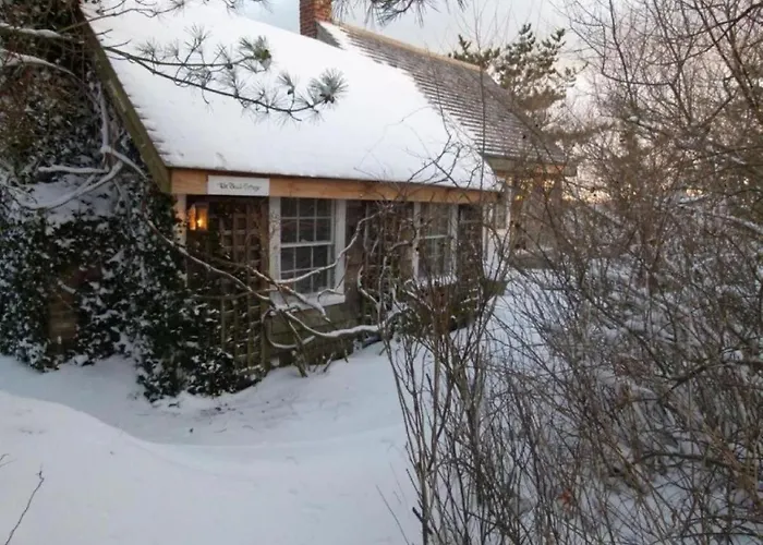 Charming Cottage Rental On A Private Beach In Cape Cod, Massachusetts