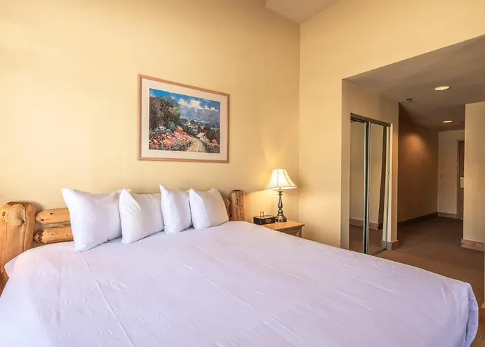 Cozy Pet-Friendly King Studio In Mt, Crested Butte Condo