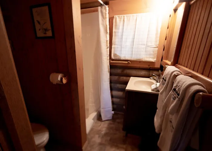 Experience Montana Cabins - Wildflower #3