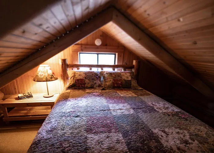 Experience Montana Cabins - Wildflower #3